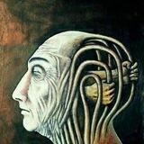 پناهي :سيگنال هاي اقتصادي وسياسي