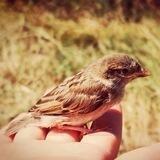 Umwelt- und Tierschutz 🕊