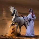 المُنتَظِر 🥺