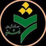 دانشگاه رشدیه
