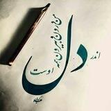 " تڪ بیت ناب "
