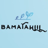 BamaTahlil باماتحلیل