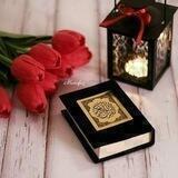 ❁⇣• روضة المتدبرين •⇣❁