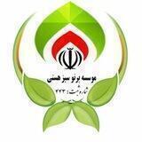 موسسه پرتو سبز