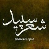 شعر سپید