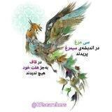 جرئت دانستن داشته باش