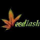 Weed_Lash | ویدلش