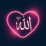 پروازبه سوی خوشبختی