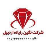 شرکت نگین رایانه