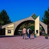 دانشگاه بین‌المللی امام‌خمینی(ره)