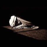 محمودِ امجد