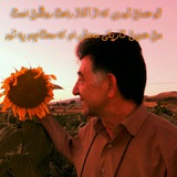 mohammadsalmani1