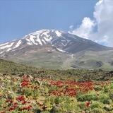 صعود؛ اخبار کوهنوردی و صعودهای ورزشی