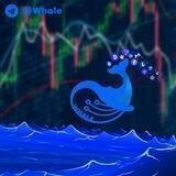 Whale Alert