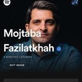 صفحه هنري مجتبي فضيلت خواه