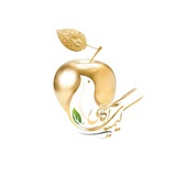 کیمیای آگاهی ( قهرمان درون )