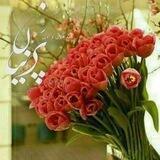 مجله هنری ادبی پرنیان