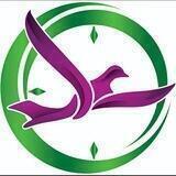 گیسوم سفر زمان گشت