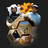 Honey_kouhdasht_khorasan
