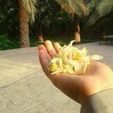 یک فنجان تامل☕
