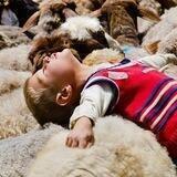 صدای پای آب