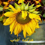 🌻آموزش های رایگان هنرکده آفتاب🌻