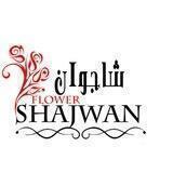 شاجوان shajwana2z@