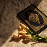 بالقرآن إهتدينا