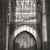 أروآحٌ مـُحلـِّقة💜