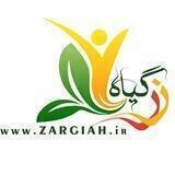 مزرعه زرگیاه
