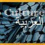 فرهنگ عرب و شمال آفریقا