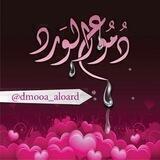 🌸 دمــوع الـورد 🌸