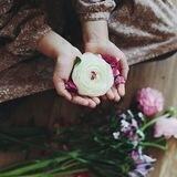Sham 💜| شام 🌙