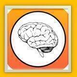 مسابقات علوم اعصاب شناختی