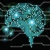 Neuroscience and NBIC
