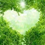 💖احـــیـــاء قـــلـــب💖
