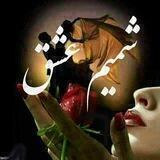 شمیم عشق
