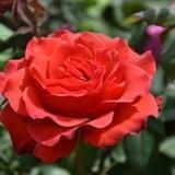 به سوی آگاهی