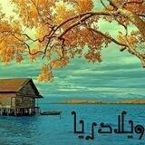 ویلادریا
