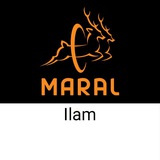 نمایندگی مارال چرم ایلام (maral leather )