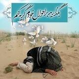 شهدا شرمنده ایم