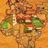 🌐 مطالعات عربی، اسلام و سیاست