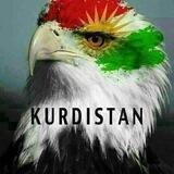 کەناڵی شعرو هەڵبەستی کوردی.