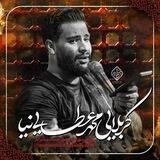 کانال رسمی کربلایی محمد عطایی نیا