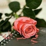 🌹في حب الله🌹