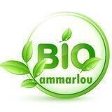 Dr.Ammarlou