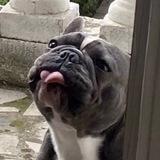 gunina_ok