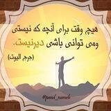 بهترین ها