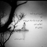رضا نظری ایلخانی