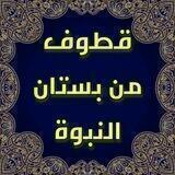قطوف من بستان النبوة